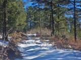 TBD Timber Canyon Rd - Photo 6