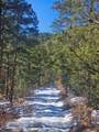 TBD Timber Canyon Rd - Photo 7