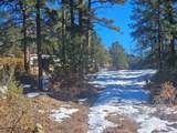 TBD Timber Canyon Rd - Photo 8