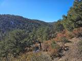 TBD Timber Canyon Rd - Photo 9
