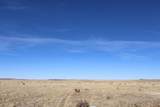  111 Acres Cl&L Ranch Unit F - Photo 21