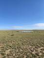  111 Acres Cl&L Ranch Unit F - Photo 6