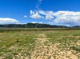23050 Ridge Rd - Photo 19
