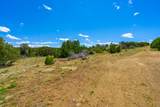 TBD Lot 772 Rio Cucharas Phase 3 - Photo 13