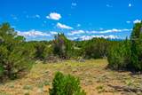 TBD Lot 772 Rio Cucharas Phase 3 - Photo 14