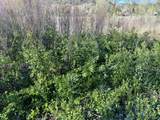 TBD Co-12 - Photo 12