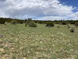 TBD Cr 521.3 - Photo 5