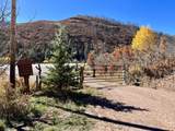 1622 Us Highway 160 - Photo 46