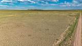 Lot 210 Colorado Land And Livestock - Photo 14
