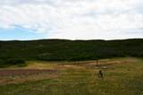 TBD Spanish Peaks Trail - Photo 16