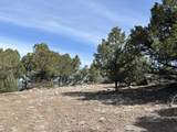 1601 Desperado Drive - Photo 14