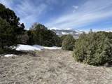 1601 Desperado Drive - Photo 30