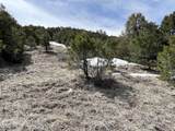 1601 Desperado Drive - Photo 33