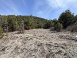 1601 Desperado Drive - Photo 41