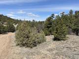 1601 Desperado Drive - Photo 42