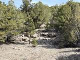 1601 Desperado Drive - Photo 43
