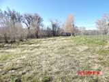 818 Robinson Ave - Photo 3