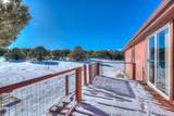 3055 Comanche Drive - Photo 13