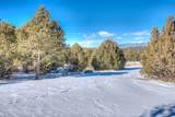 3055 Comanche Drive - Photo 8