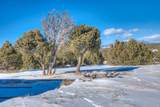 3055 Comanche Drive - Photo 9