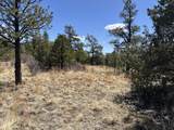 8315 Gun Barrel Ridge - Photo 10