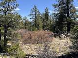 8315 Gun Barrel Ridge - Photo 12