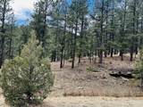 Lot 36 Logging Canyon Rd - Photo 1