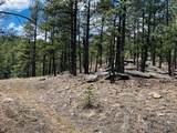 Lot 36 Logging Canyon Rd - Photo 12
