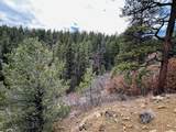 Lot 36 Logging Canyon Rd - Photo 2