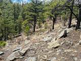 Lot 36 Logging Canyon Rd - Photo 6