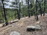 Lot 36 Logging Canyon Rd - Photo 7