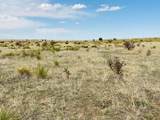  Lot 234 Turkey Ridge Ranch - Photo 10