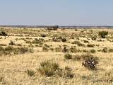  Lot 234 Turkey Ridge Ranch - Photo 11