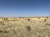  Lot 234 Turkey Ridge Ranch - Photo 12