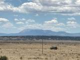  Lot 234 Turkey Ridge Ranch - Photo 14