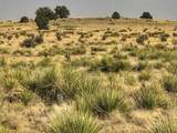  Lot 234 Turkey Ridge Ranch - Photo 16