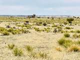 Lot 234 Turkey Ridge Ranch - Photo 17