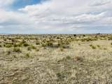  Lot 234 Turkey Ridge Ranch - Photo 9