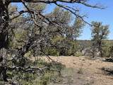  Coyote - Photo 13