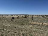TBD County Road 93.9 - Photo 9