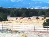 751 County Road 634.2 - Photo 55