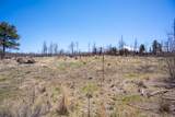 999 Foy Pl - Photo 13