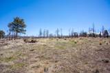 999 Foy Pl - Photo 16