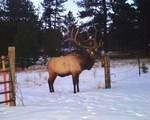 1410 Co Rd 90 - Photo 17