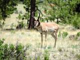 1410 Co Rd 90 - Photo 19