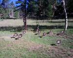 1410 Co Rd 90 - Photo 21