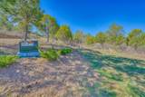 33268 Turkey Creek Lane - Photo 39