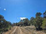 TBD Cedar Drive - Photo 16