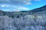 5328 Us Highway 160 - Photo 46