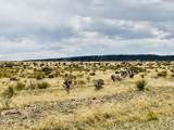 Lot 239 Turkey Ridge Ranch - Photo 4